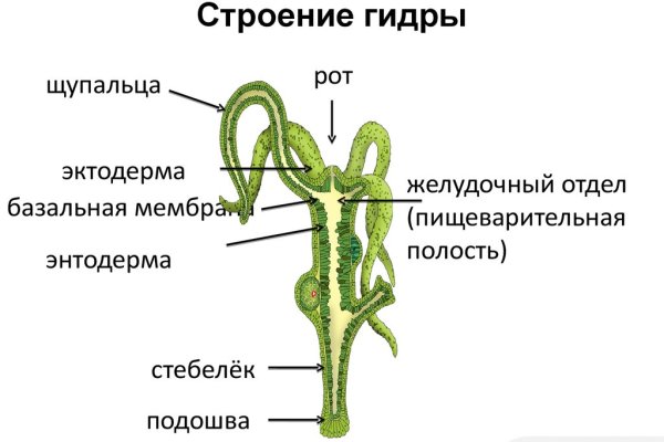 Кракен 13at