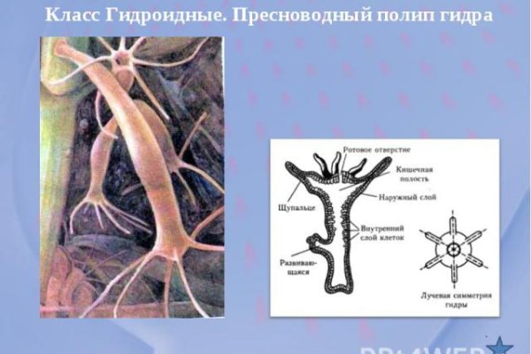 Как вернуть аккаунт на кракене
